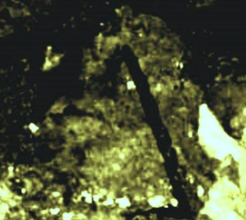 10151903_10152363728194697_6998873082082771537_n.Z.3