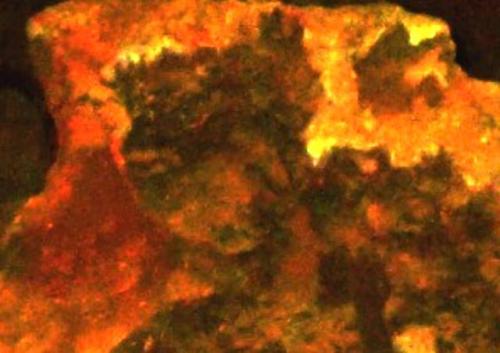 12042686_10153753434594697_5480765332800499479_n