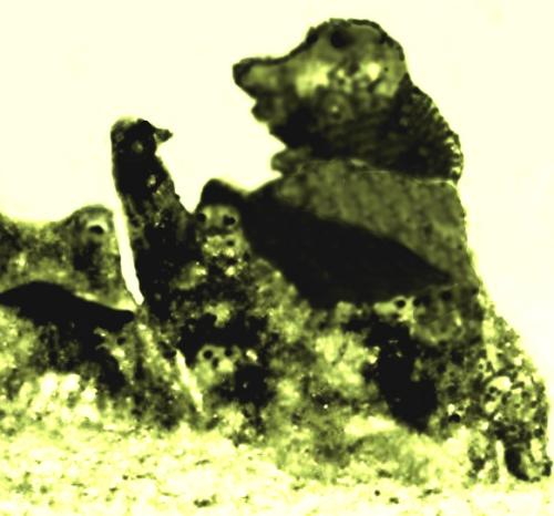 301.Z3