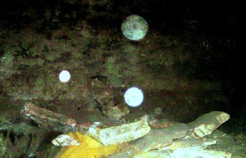 338-BENEATH-7 (1)