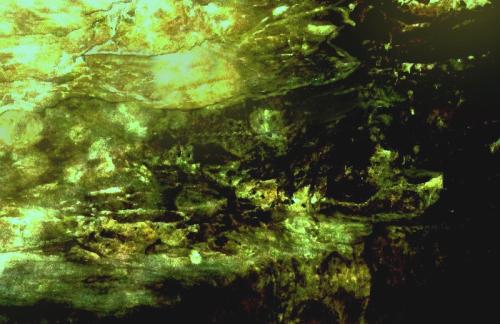 346-BENEATH-15.Z1