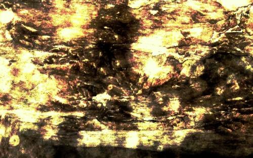 346-BENEATH-15.Z2