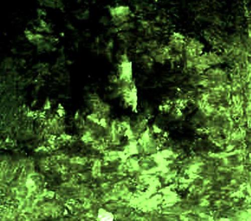 349-BENEATH-18-Copy.jpg-for-web-LARGE.Z1