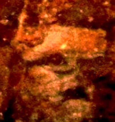 FACE (1)