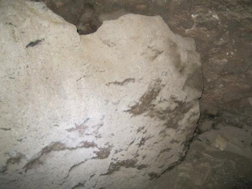 IMG 1515 (1)