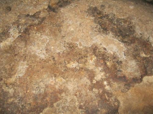 IMG 1518 (1)