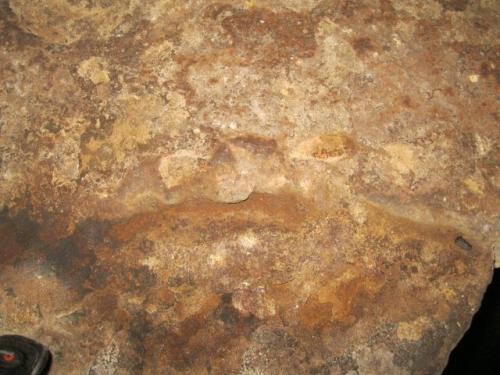 IMG 1519 (1)
