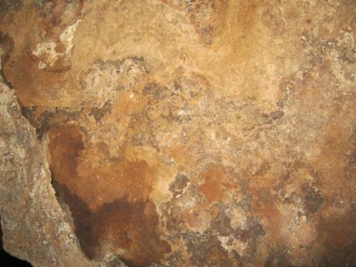 IMG 1520 (1)