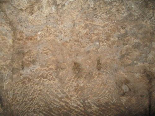 IMG 1524 (1)
