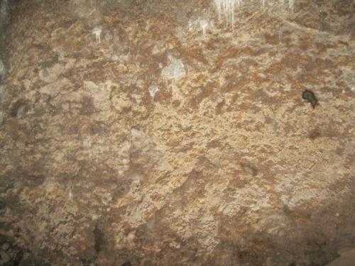 IMG 1527 (1)