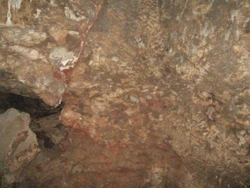IMG 1528 (1)