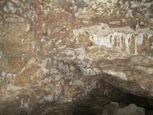 IMG 1529 (1)