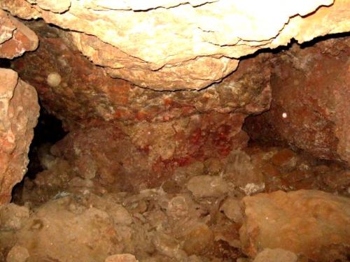 IMG 1537 (1)