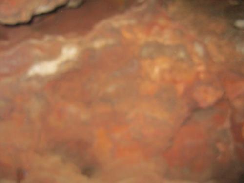 IMG 1544 (1)