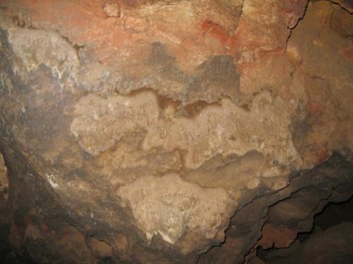 IMG 1547 (1)