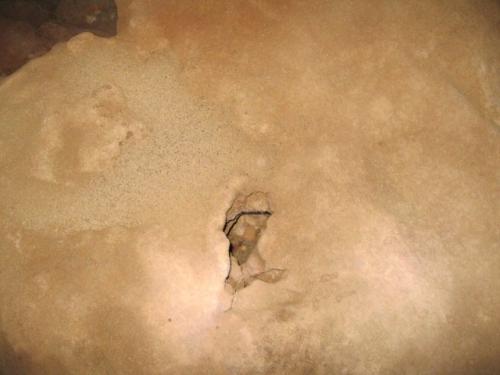 IMG 1553 (1)