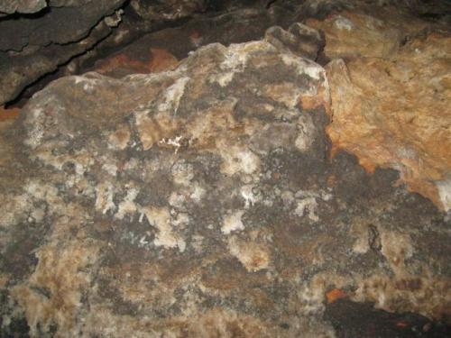 IMG 1566 (1) (1)