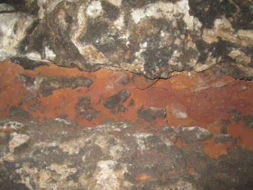 IMG 1572 (1)
