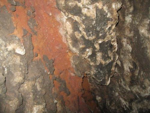 IMG 1573 (1)