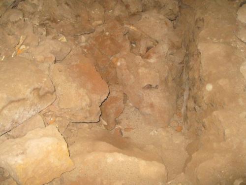 IMG 1575 (1)