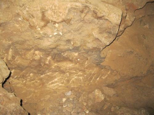 IMG 1579 (1)