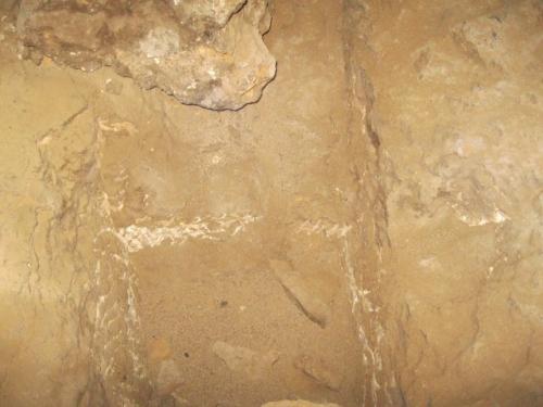 IMG 1584 (1)