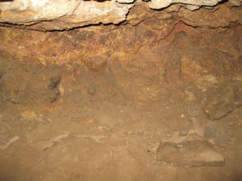 IMG 1588 (1)