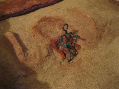 IMG 4958