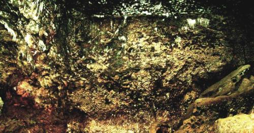 RECEPTION-FEATURE-WALL (1)