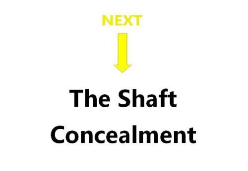 The-Shaft-Concealment